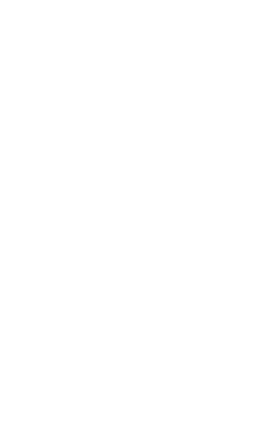Inyectaos Inc